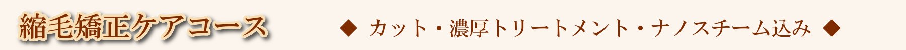 HPメニューバー縮毛矯正ケアタイトル